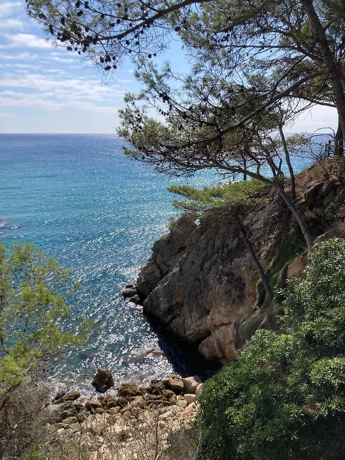 Apartment Beach Studioloft Costa Brava Calonge